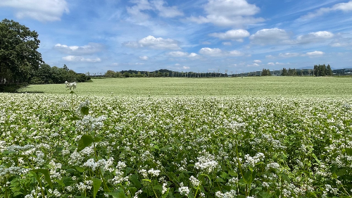 고창학원농장14