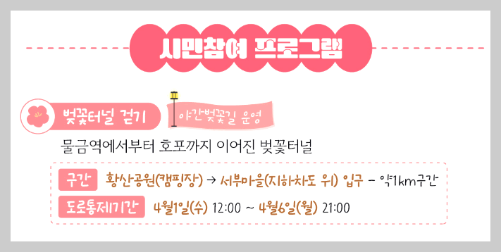 물금벚꽃축제