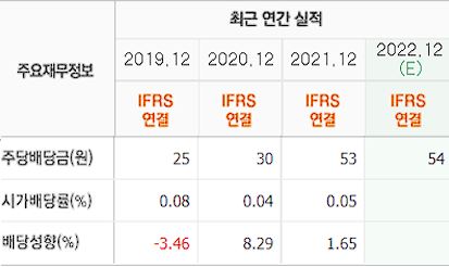 카카오 배당내역