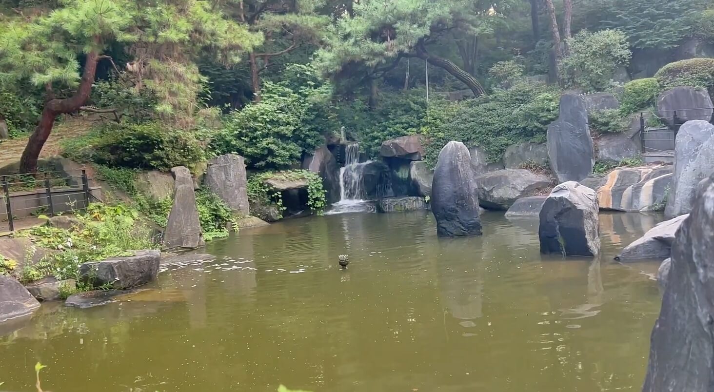 그림같은수목원