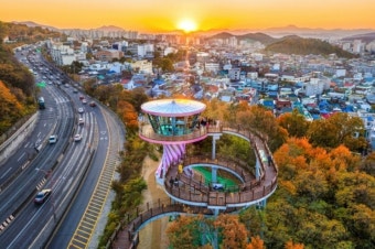 6시 내고향에 소개된 따뜻한 대구 관문시장 맛집 