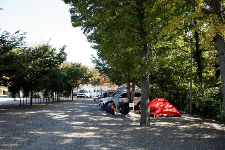 파주 인생캠핑장, 추천캠핑장