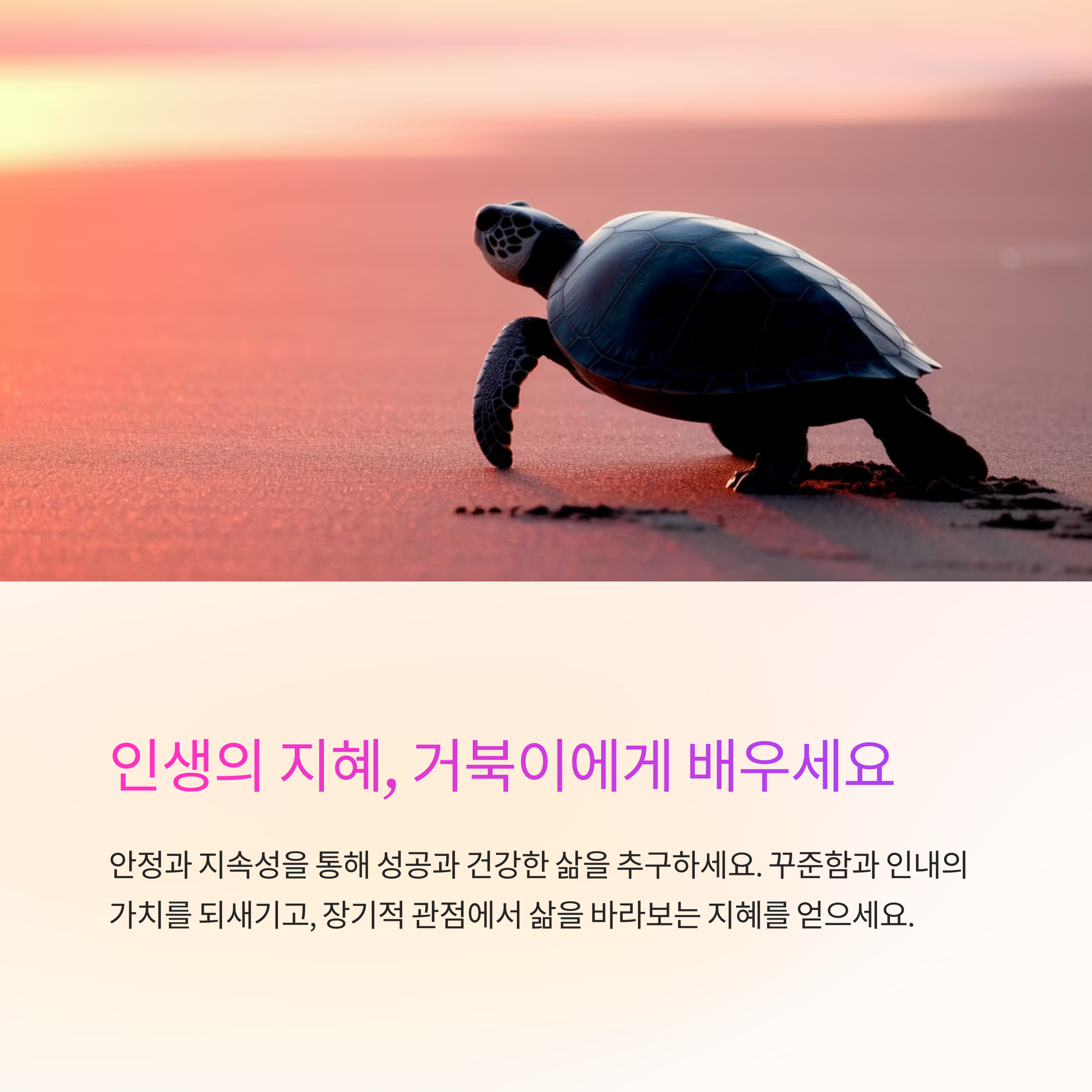 거북이가 천천히 움직이는 꿈