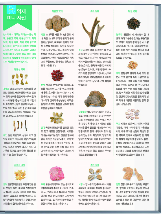 동의보감의 지혜 총정리ㅣ한의학적 건강 비결과 효능