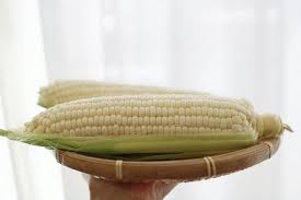 옥수수 맛있게 삶는 방법