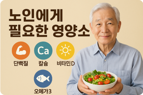 노인에게 필요한 영양소