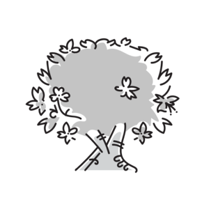 당뇨에좋은과일