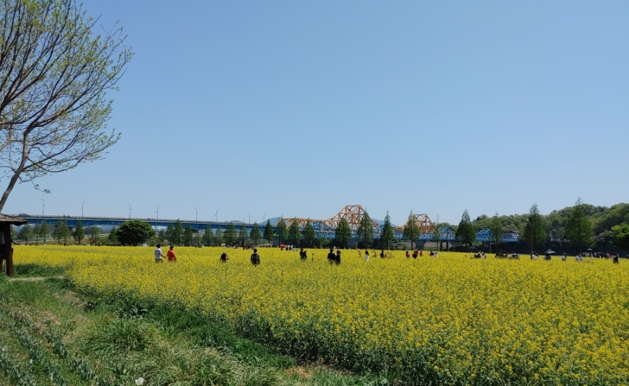 남지 유채공원