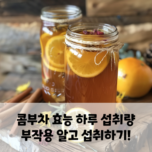 콤부차 효능