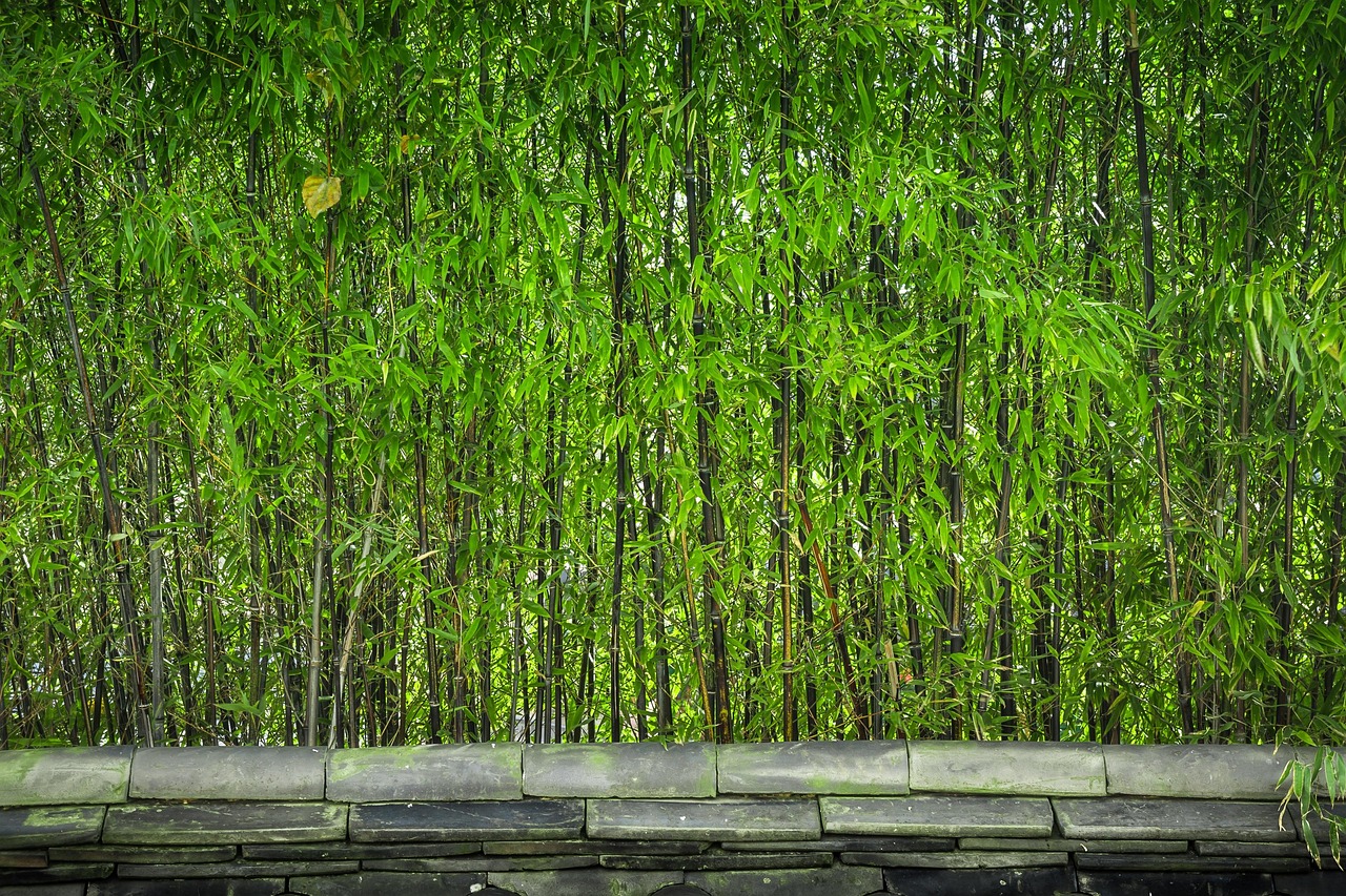 산림복지바우처