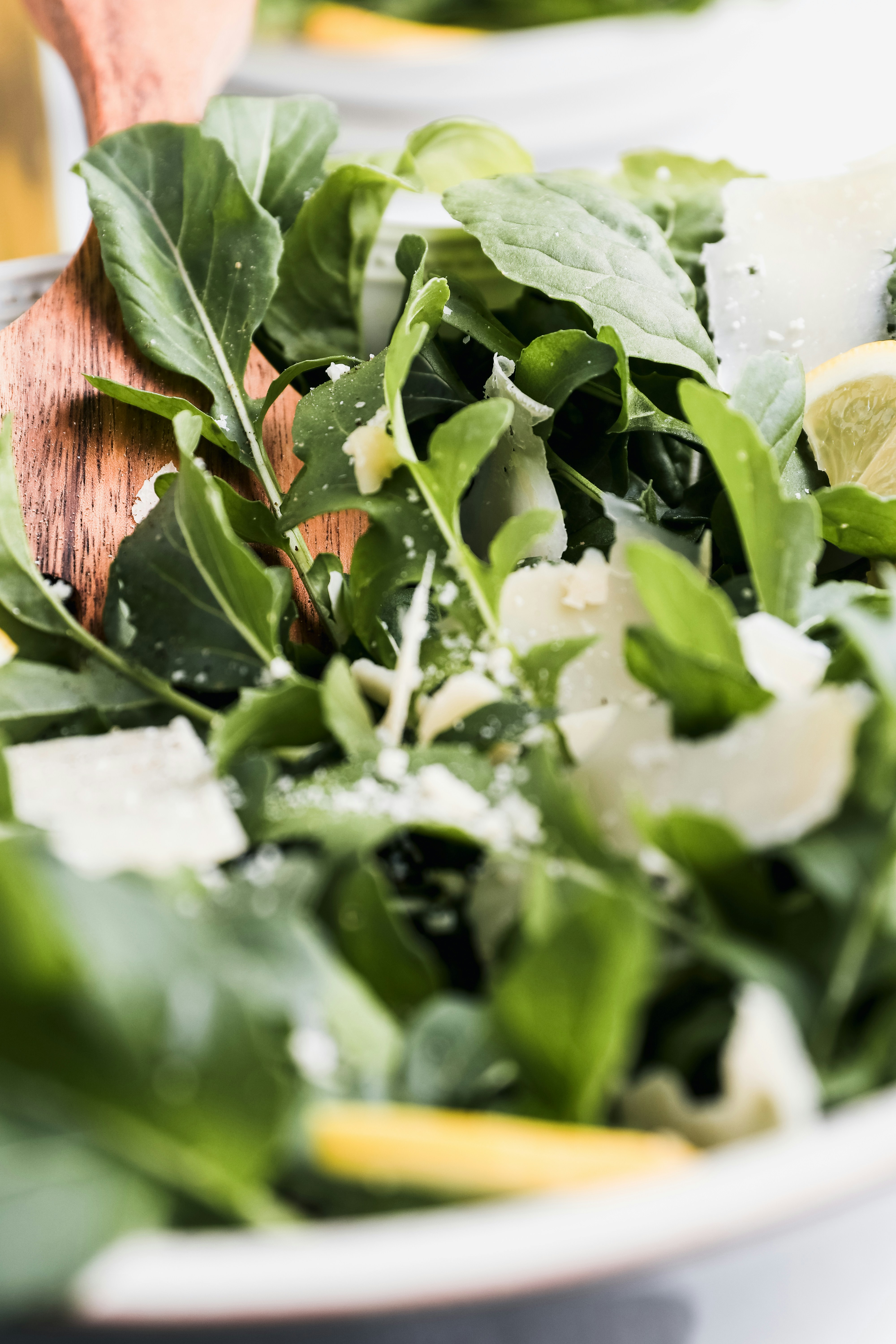 루꼴라 키우기 및 7가지 효능 (+ 먹는 법 요리 피자 샐러드 레시피)