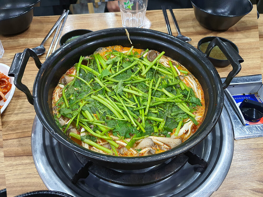 등촌샤브칼국수 복정점-12