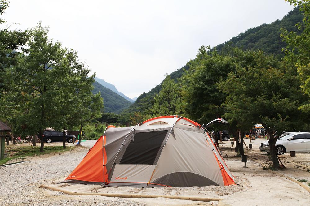 지리산 달궁자동차야영장

전북 남원시 산내면 덕동리 274