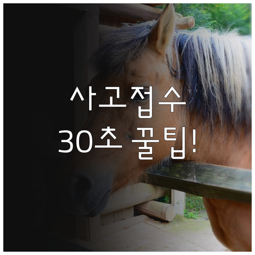 복잡한 서류 없이 캐롯 앱으로 사고 ..