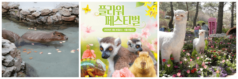 네이처파크 플라워페스티벌 포토&#44; 포스터