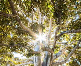 국민연금 유족연금 수령조건 국민연금 유족연금비율 수령액