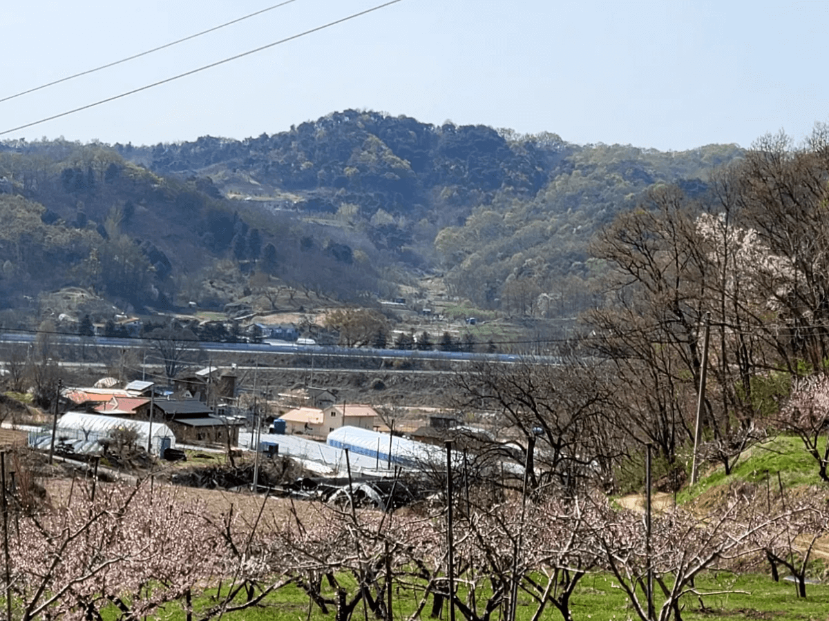 고향사랑기부제 세액공제