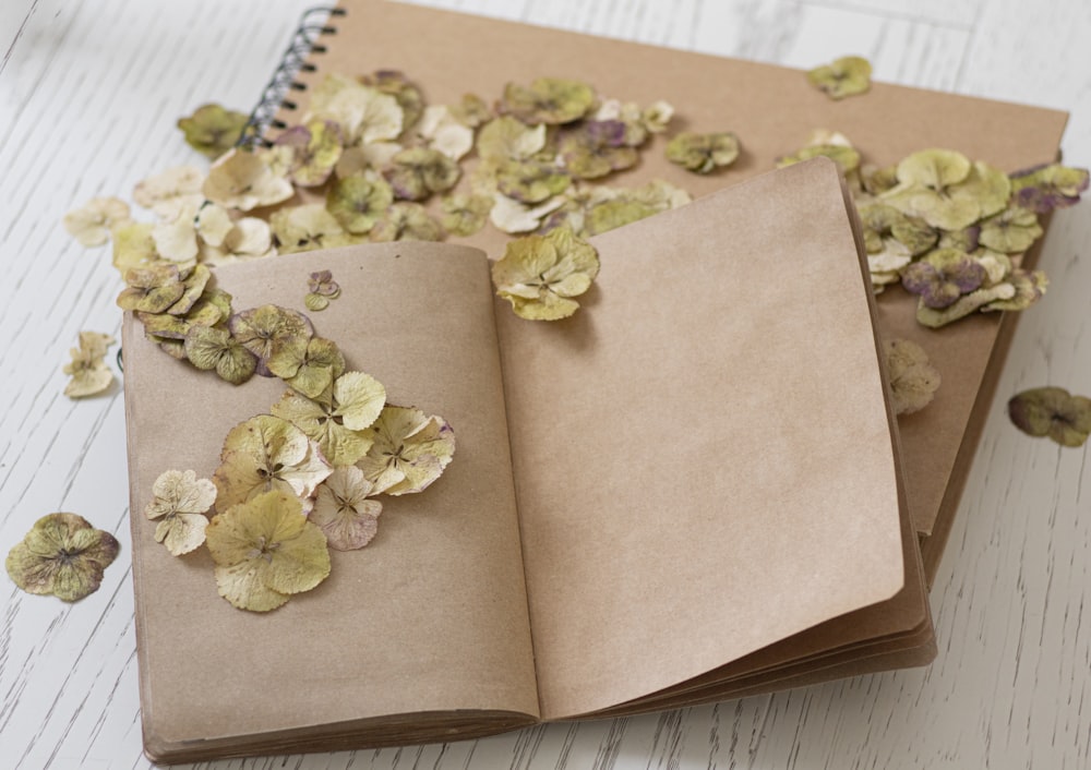 재활용 관련 이미지