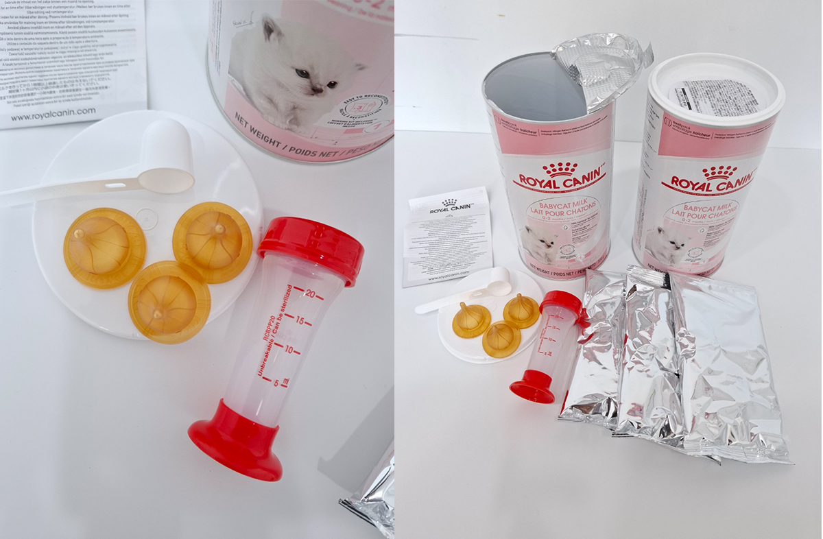 로얄케닌 분유 세트(royal canin)