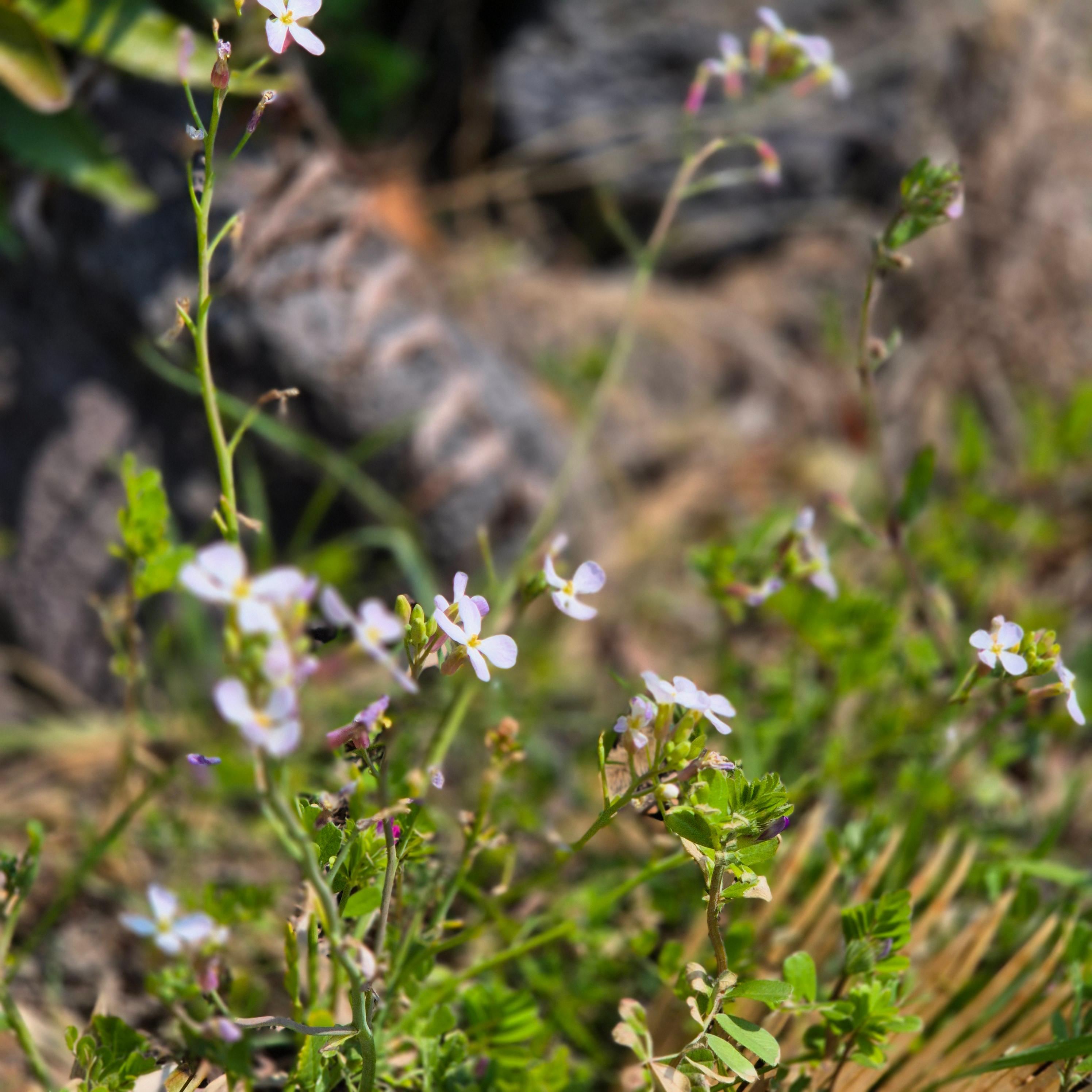 궤양성 대장염 완치방법