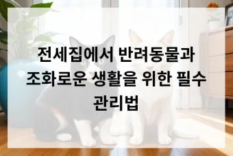 전세집 관리 원상복구 못자국 틈새 청소 사진 기록법_13