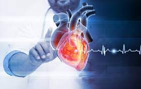 참외 껍질 참외씨 효능 5가지 참외 고르는 방법 1개 칼로리 참외장아찌 담그는 법