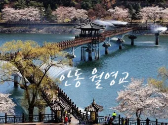 안동 맛집 베스트10 방송 출연 블루리본 맛집_2