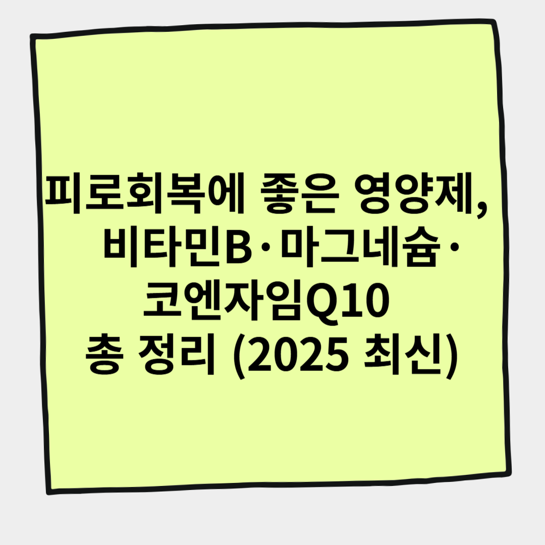 피로회복에 좋은 영양제, 비타민B·마그네슘·코엔자임Q10 총 정리 (2025 최신)