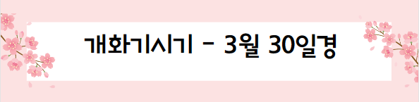 봄꽃 여행지