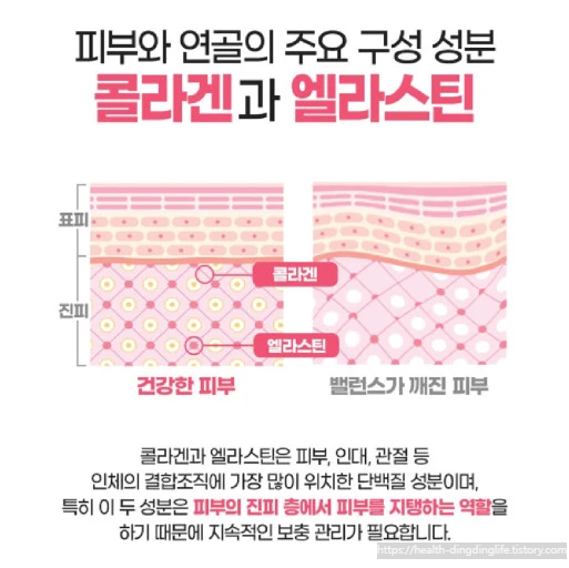 콜라겐에 관한 이미지 입니다.