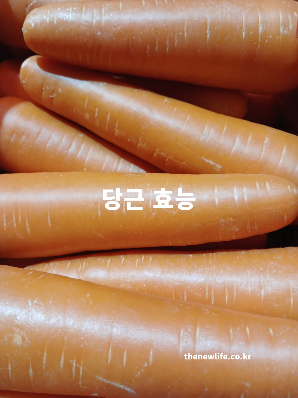 당근 효능 대표 실사진