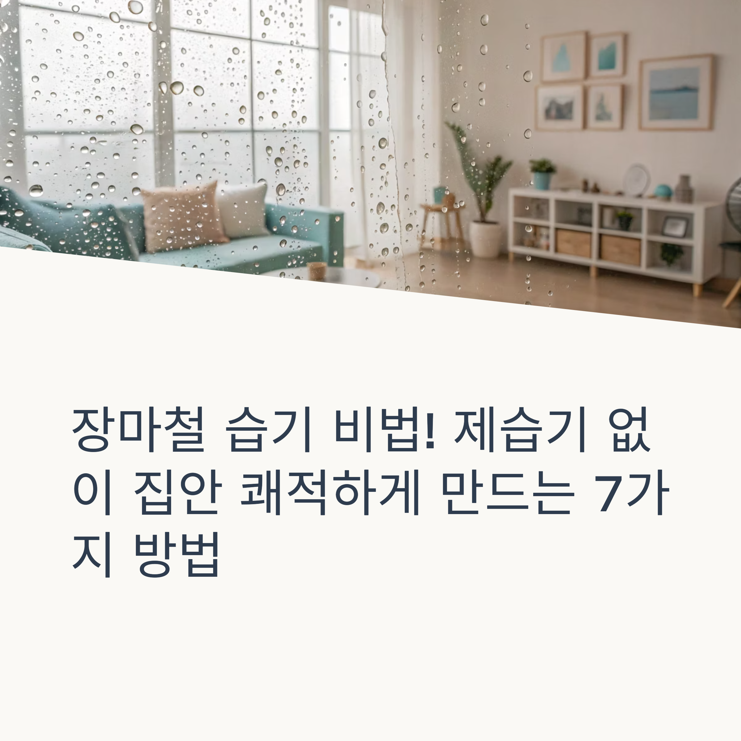 장마철 이거 모르면 손해! 돈 안 들이고 집안 습기 잡는 비법