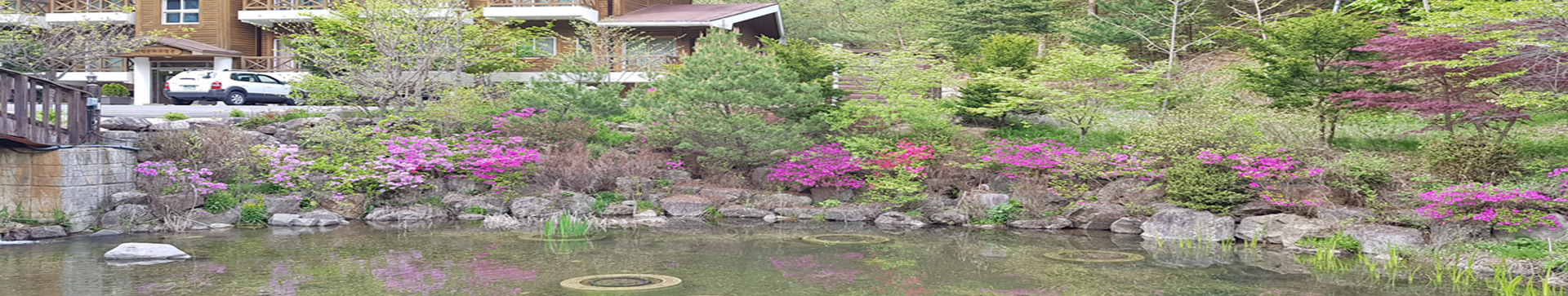 덕유산 자연휴양림