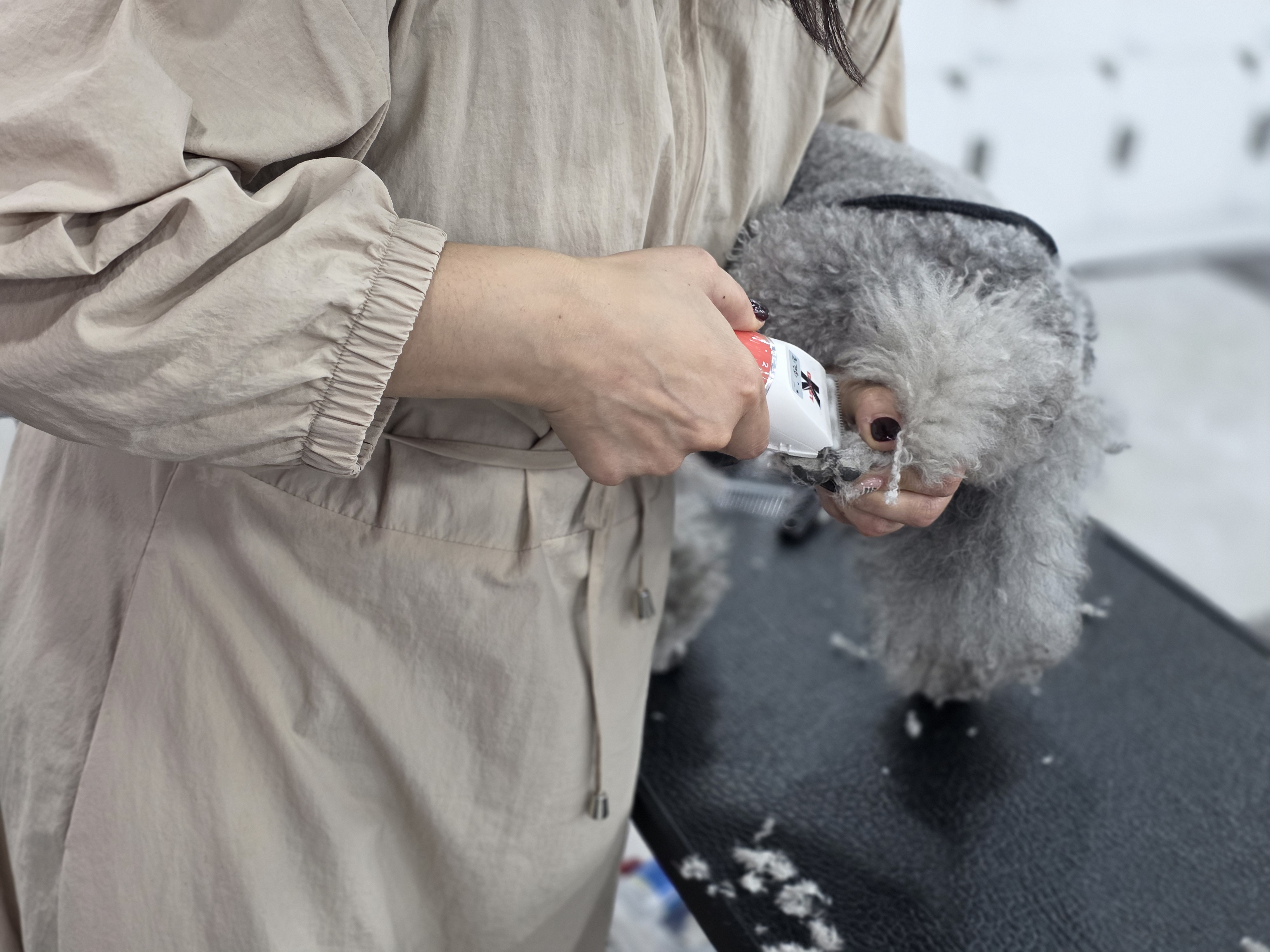 위생미용도 실습에서 가능