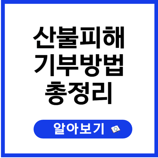 2025 산불 피해 기부 방법 총정리