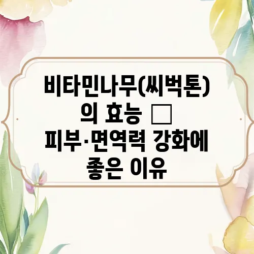 비타민나무(씨벅톤)의 효능 – 피부·면역력 강화에 좋은 이유