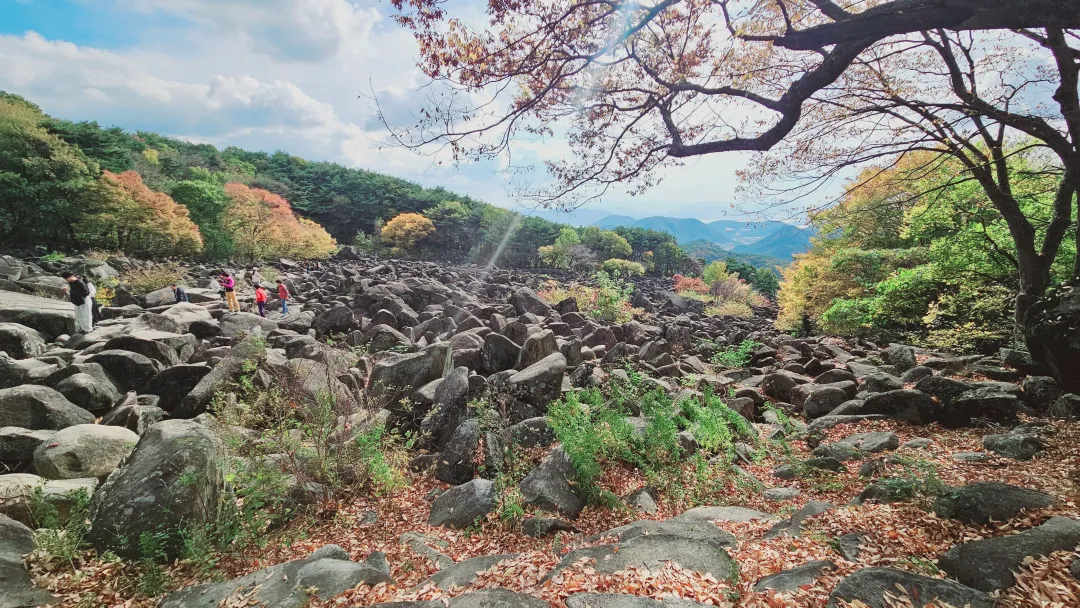 밀양만어사 풍경