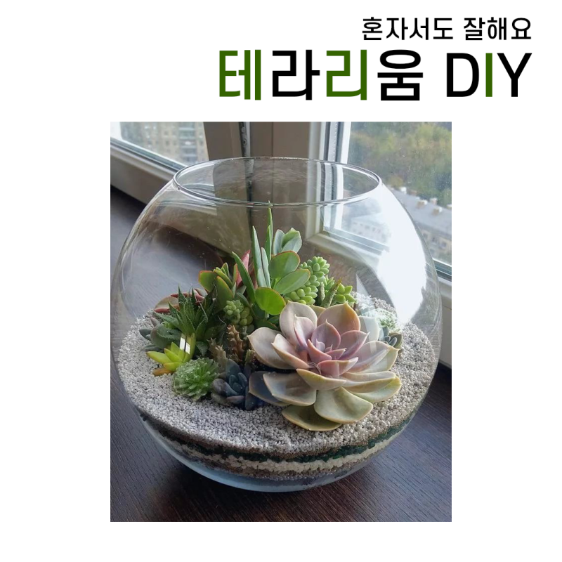 혼자서도 잘해요. 테라리움