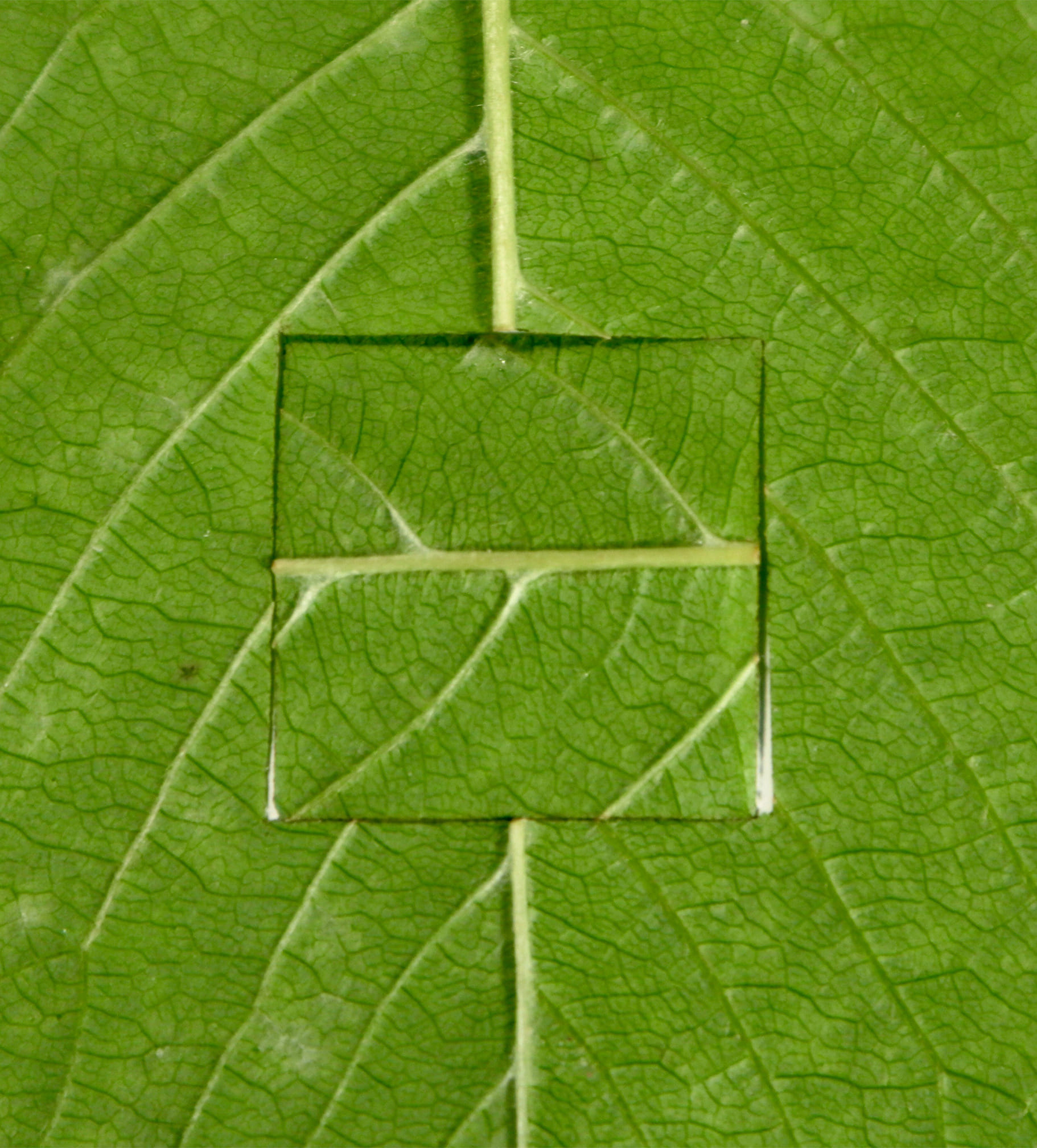 탬버린즈 튜브 핸드 000 원료