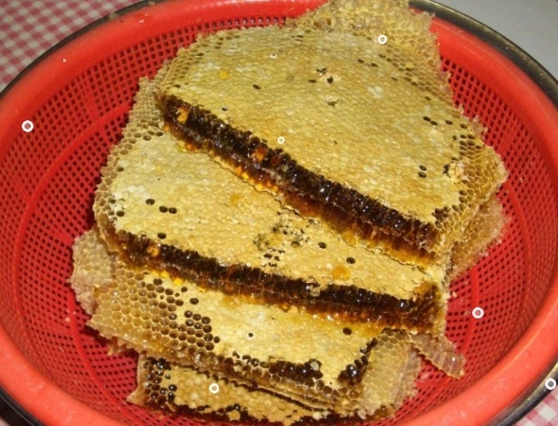 토종꿀-삼척-이건영-한국기행