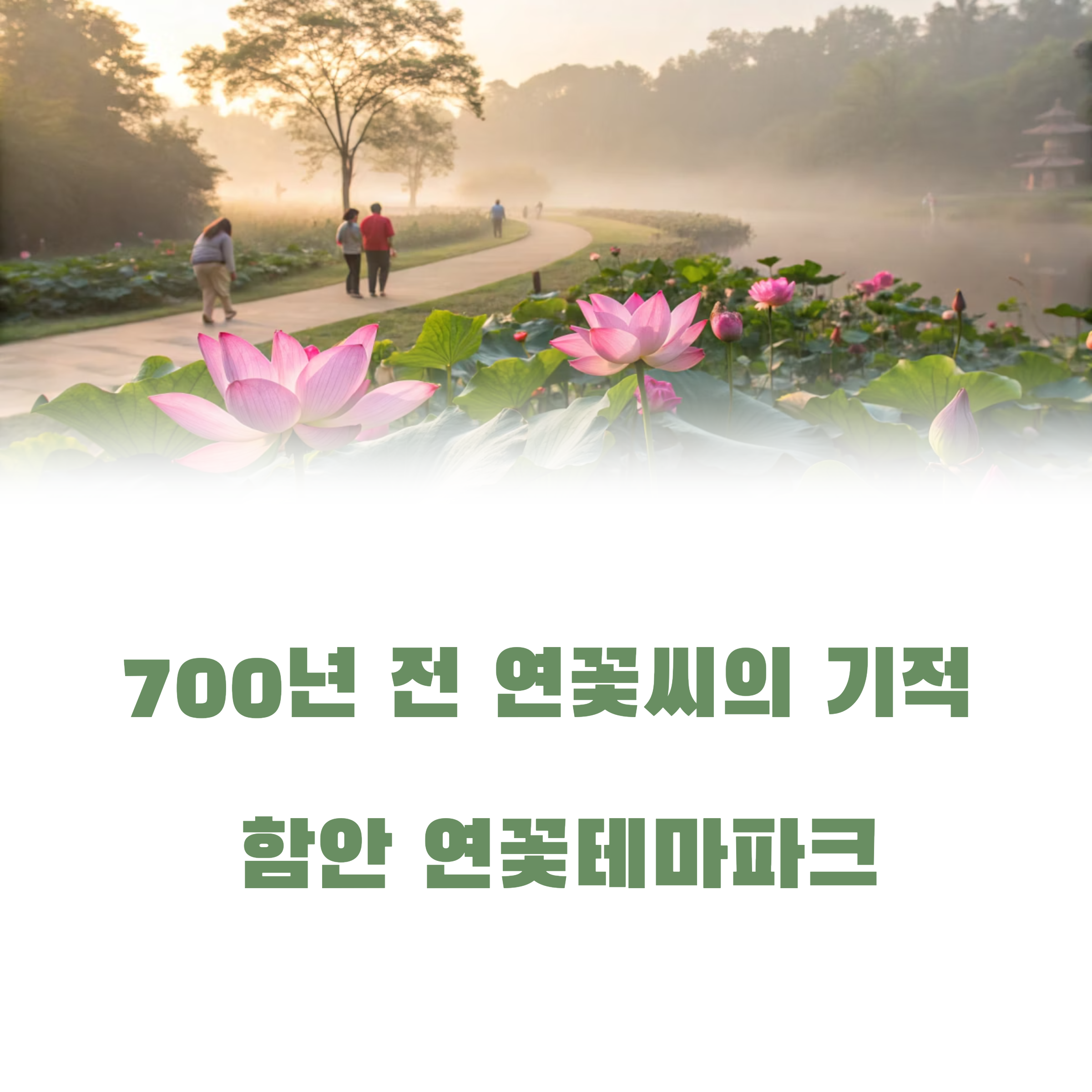 함안 연꽃테마파크