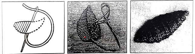 Satin stitch(새틴 스티치)