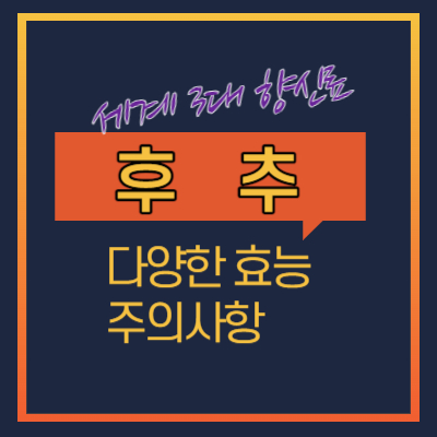 후추 효능