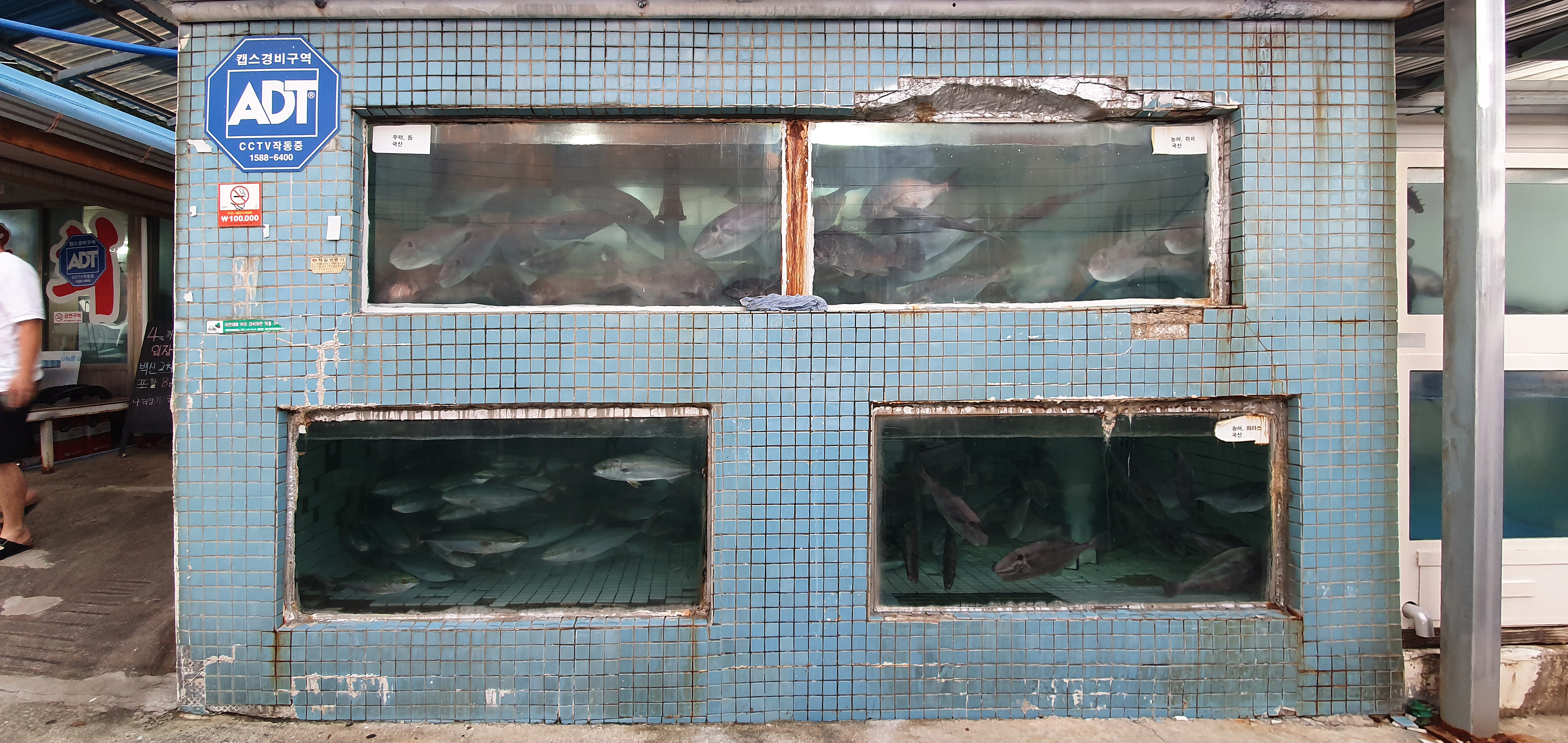 입구쪽 간판과 수족관