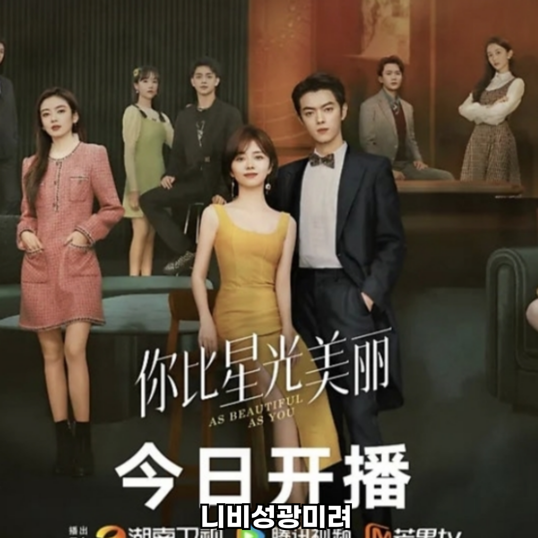 니비성광미려 중드 로맨스