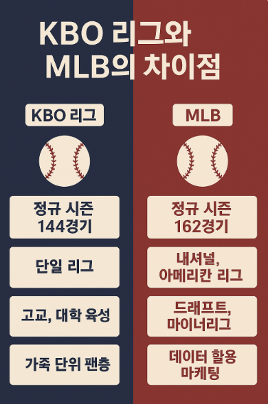 KBO와 MLB의 주요 차이점을 비교한 인포그래픽