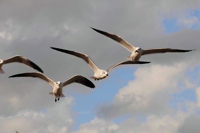 날씨예보 3월 한달 날씨 전망