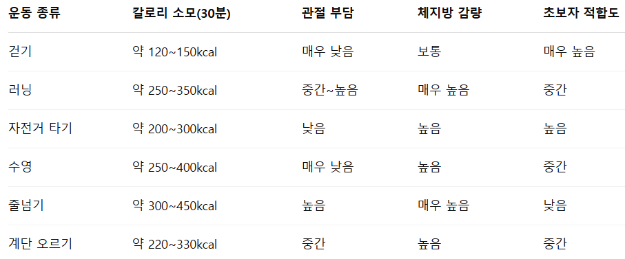 유산소 운동 특징 효과 표