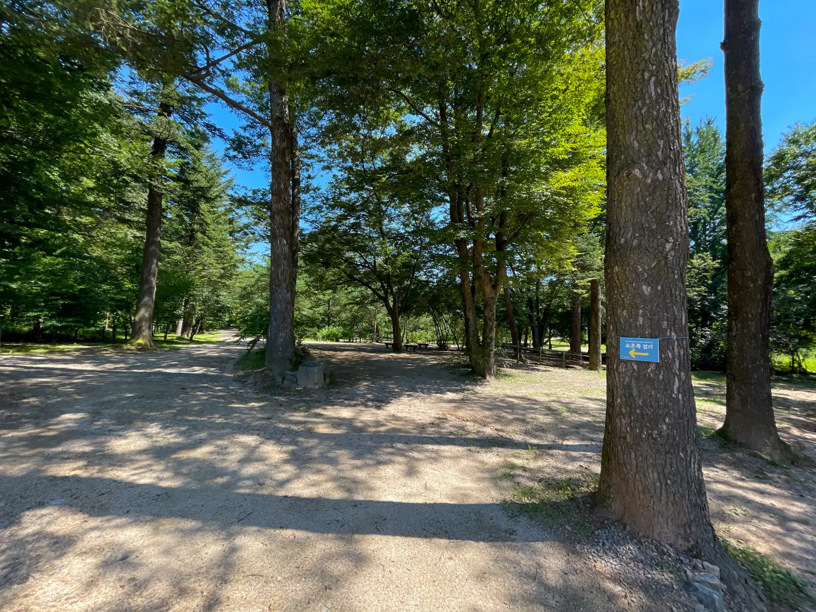 파주-삼릉-숲길