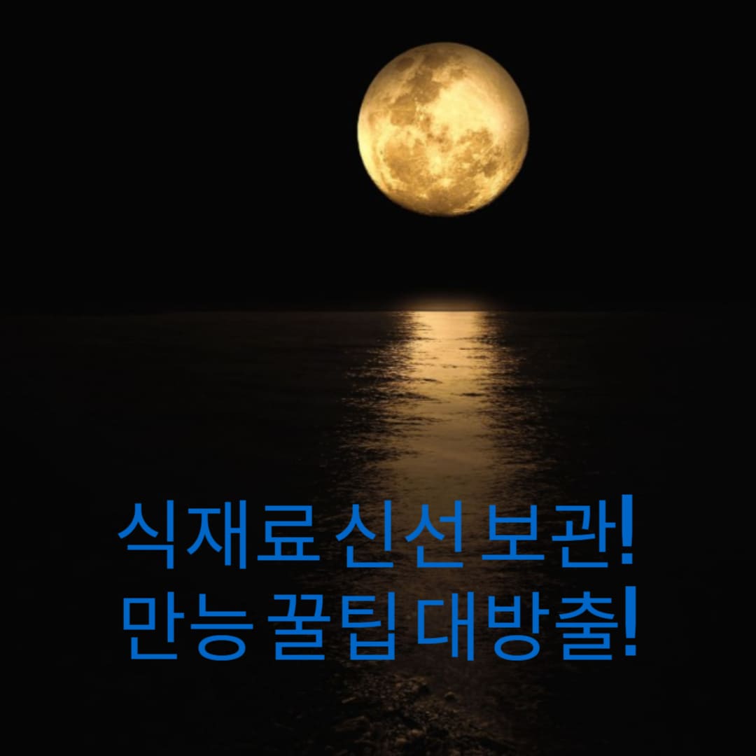 식재료-신선-보관-만능-꿀팁-대방출-썸네일